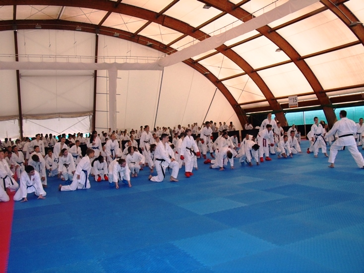 2014-07-14 WKF-Kid Competition Kroatien 01