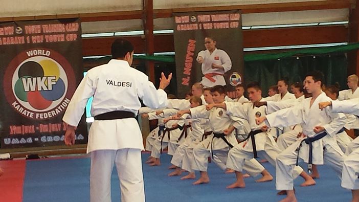 15 07 08 WKF TrainingCamp 05