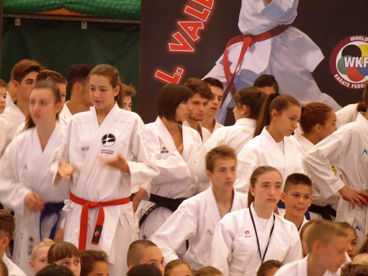 15 07 08 WKF TrainingCamp 06